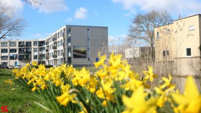 [Nieuws] :: Nieuwe posterfotos langs Stadspolderring (10)